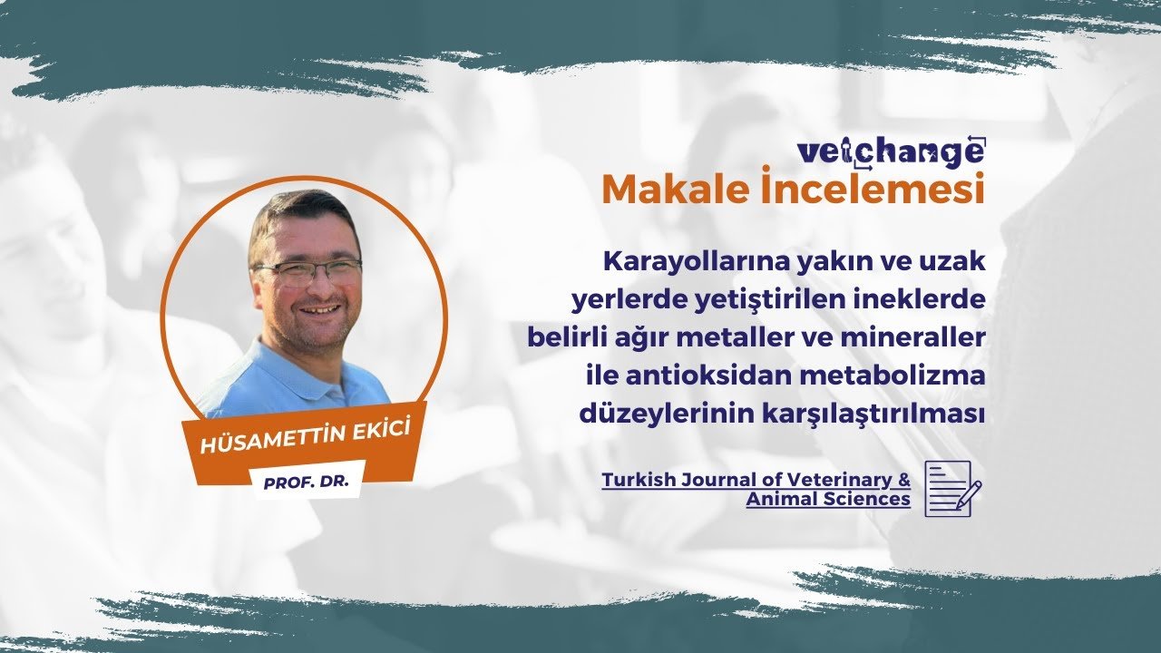 Vetchange makale incelemesi | Prof. Dr. Hüsamettin Ekici #vetchange #veterinerhekim